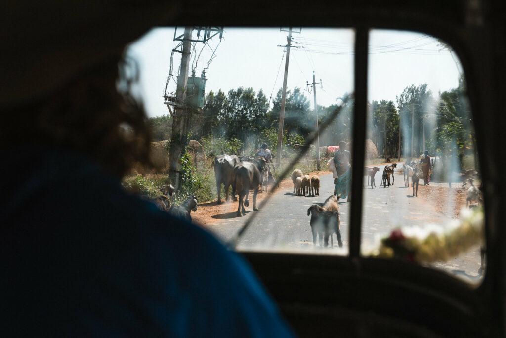 インド 現地コーディネートインド,